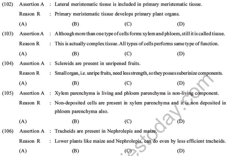 NEET Biology Plant Anatomy Plant Tissues MCQs Set A, Multiple Choice